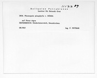 Image Associated With the Occurence